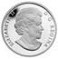 Canada 25 Dollars The Polar Bear 2013 Proof KM# 1403 ELIZABETH II D ∙ G ∙ REGINA coin obverse