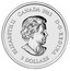 Canada 3 Dollars Hummingbird & Morning Glory 2013 KM# 1492 ELIZABETH II CANADA 2013 D ∙ G ∙ REGINA 3 DOLLARS SB coin obverse