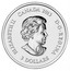 Canada 3 Dollars Maple Leaf Impression 2013 KM# 1451 ELIZABETH II CANADA 2013 D ∙ G ∙ REGINA 3 DOLLARS SB coin obverse