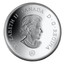 Canada 30 Dollars Canadian North 2006 Proof KM# 671 ELIZABETH II CANADA D ∙ G ∙ REGINA coin obverse