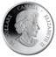 Canada 30 Dollars Fifth Anniversary of Canadarm 2006 Proof KM# 668 30 DOLLARS ∙ CANADA ∙ ELIZABETH II coin obverse