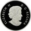 Canada 4 Dollars Welcome to the World 2011 Proof KM# 1129 ELIZABETH II D∙G∙REGINA coin obverse