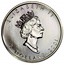 Canada 5 Dollars Coloured Maple Leaf - Autumn 2001 Proof KM# 436 ELIZABETH II 5 DOLLARS 2001 coin obverse