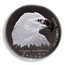 Canada 50 Cents Bald Eagle 2000 Proof KM# 392 HALIACETUS LEUCOCEPHALUS CANADA 50 CENTS 2000 coin reverse