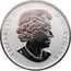Canada 50 Cents Superman - Then and Now. Lenticular Coin 2013 Proof KM# 1444 ELIZABETH II D∙G∙REGINA coin obverse