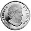 Canada 50 Dollars 100 Years of the Calgary Stampede 2012 Proof KM# 1243 ELIZABETH II D ∙ G ∙ REGINA coin obverse