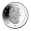 Canada 50 Dollars The Four Seasons 2006 Proof KM# 1417 ELIZABETH II 2006 D ∙ G ∙ REGINA coin obverse