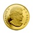Canada 500 Dollars Canada's First Gold Coins 2010 Proof KM# 1007 ELIZABETH II D G REGINA coin obverse