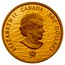 Canada 500 Dollars HMS Shannon & USS Chesapeake 2013 Proof KM# 1431 ELIZABETH II D ∙ G ∙ REGINA 500 DOLLARS SB coin obverse