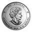 Canada 500 Dollars National Aboriginal Veterans Monument 2014 Proof KM# 1766 500 DOLLARS 5 KG 9999 5 KG 9999 ELIZABETH II 2014 D ∙ G ∙ REGINA coin obverse