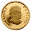 Canada 75 Dollars Summer - Maple Leaf 2010 Proof KM# 1003 ELIZABETH II D ∙ G ∙ REGINA coin obverse