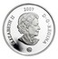 Canada 8 Dollars Maple of Long Life 2007 Proof KM# 731 ELIZABETH II 2007 D ∙ G ∙ REGINA coin obverse