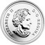 Canada Dollar Royal Canadian Navy 2010 Proof KM# 995a ELIZABETH II D ∙ G ∙ REGINA coin obverse