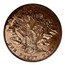 Canada One Penny Token Victoria 1856 Proof KM# 6a PROVINCE OF NOVA SCOTIA ONE PENNY TOKEN coin reverse
