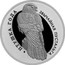 Belarus Rouble Kestrel 2010 Prooflike KM# 336 ПТУШКА ГОДА ЗВЫЧАЙНАЯ ПУСТАЛЬГА coin reverse