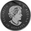 Canada 10 Dollars Learning to Play - Calgary Flames 2018 Matte Proof ELIZABETH II D G REGINA 10 DOLLARS coin obverse