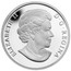 Canada 10 Dollars Skiing Canadian Slopes 2014 Proof KM# 1625.1 ELIZABETH II D ∙ G ∙ REGINA coin obverse