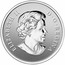 Canada 10 Dollars Year of the Sheep 2015 Specimen KM# 1813 ELIZABETH II D G REGINA coin obverse