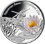 Belarus 10 Roubles The White Water Lily (Nymphaea Alba) 2012 Proof KM# 423 ГАРЛАЧЫК БЕЛЫ NYMPHAEA ALBA coin reverse