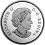 Canada 100 Dollars Sculpture of Majestic Canadian Animals 3D Grizzly Bear 2017 Proof ELIZABETH II D∙G∙REGINA coin obverse