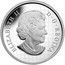 Canada 100 Dollars The Declaration of the First World War 2014 Proof KM# A1721 ELIZABETH II D G REGINA coin obverse