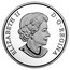 Canada 15 Dollars Year of the Rooster 2017 Proof ELIZABETH II D ∙ G ∙ REGINA coin obverse
