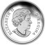 Canada 20 Dollars Autumn Express 2015 Proof KM# 1904 ELIZABETH II D. G. REGINA coin obverse