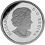 Canada 20 Dollars Baby Black Bear 2015 Proof KM# 2017 ELIZABETH II D ∙ G ∙ REGINA coin obverse