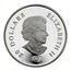 Canada 20 Dollars Crystal Snowflake - Blue 2007 Proof KM# 735 20 DOLLARS ELIZABETH II coin obverse