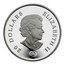 Canada 20 Dollars Iridescent Snowflake 2007 20 DOLLARS ELIZABETH II coin obverse