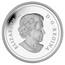 Canada 20 Dollars Mother Protecting Her Eaglets 2013 Proof ELIZABETH II D ∙ G ∙ REGINA coin obverse
