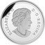 Canada 20 Dollars Summer Storm 2015 Proof KM# 2026 ELIZABETH D G REGINA coin obverse