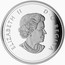 Canada 20 Dollars Superman Unchained 2015 Proof KM# 2032 ELIZABETH II D G REGINA coin obverse