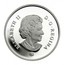 Canada 20 Dollars Team Goalie Mask - Toronto Maple Leafs 2009 Proof KM# 874 ELIZABETH II D∙G∙REGINA coin obverse