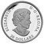 Canada 20 Dollars The Rockies 2016 Proof KM# 1905 ELIZABETH II D G REGINA 20 DOLLARS coin obverse
