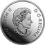 Canada 20 Dollars Toronto Maple Leafs - 100 Years of Passion 2017 Proof ELIZABETH II D G REGINA coin obverse