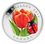 Canada 20 Dollars Tulip with Ladybug 2011 Proof KM# 1135 20 DOLLARS 2011 CANADA coin reverse