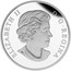 Canada 20 Dollars Venetian Glass Turtle with Broadleaf Arrowhead Flower in Murano Glass 2015 Proof ELIZABETH D ∙ G ∙ REGINA coin obverse