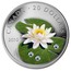 Canada 20 Dollars Water Lily 2010 Proof KM# 987 CANADA 20 DOLLARS 2010 CD coin reverse