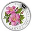Canada 20 Dollars Wild Rose 2011 Proof KM# 1145 20 DOLLARS MB CANADA 2011 coin reverse