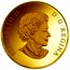 Canada 200 Dollars 150 Years of Passion - Maple Leaf 2017 Proof ELIZABETH II D∙G∙REGINA coin obverse
