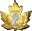 Canada 200 Dollars 30th Anniversary of the Maple Leaf 2018 Proof ELIZABETH II CANADA D • G • REGINA coin obverse