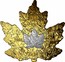 Canada 200 Dollars 30th Anniversary of the Maple Leaf 2018 Proof 200 DOLLARS 1988 2018 30 YEARS ANS coin reverse