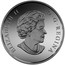 Canada 200 Dollars Canada's Rugged Mountains 2015 Matte Proof KM# 2056 ELIZABETH II D∙G∙REGINA coin obverse