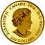 Canada 200 Dollars Diwali - Festival of Lights 2016 ELIZABETH II CANADA 2016 D ∙ G ∙ REGINA 200 DOLLARS SB coin obverse