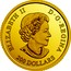 Canada 200 Dollars Enchanting Maple Leaves 2018 Proof ELIZABETH II D • G • REGINA 200 DOLLARS SB coin obverse