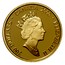 Canada 200 Dollars Mother and Child 2000 Proof KM# 403 200 DOLLARS ∙ CANADA 2000 ∙ ELIZABETH II coin obverse