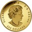 Canada 200 Dollars Roaring Grizzly Bear 2016 Proof KM# 2249 ELIZABETH II 2016 D G REGINA 200 DOLLARS coin obverse