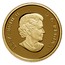 Canada 200 Dollars The Wedding Celebration - The Duke and Duchess of Cambridge 2011 Proof KM# 1143 ELIZABETH II D ∙ G ∙ REGINA coin obverse