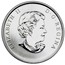 Canada 25 Cents Barn Swallow 2011 Specimen KM# 1079 ELIZABETH II D∙G∙REGINA coin obverse